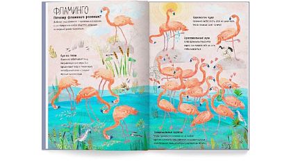 Большая книга птиц, фото 2.