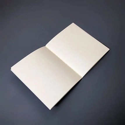 Блокнот Подписные изделия «Красный мост. Фото», фото 4.