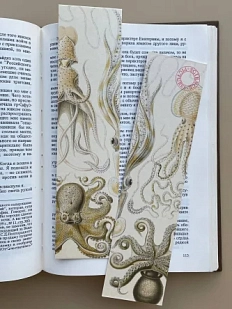 Закладка «Gamochonia» №4