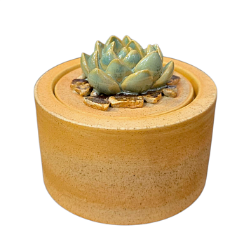 Шкатулка «Суккуленты №5», 7 см, керамика, фото 1.