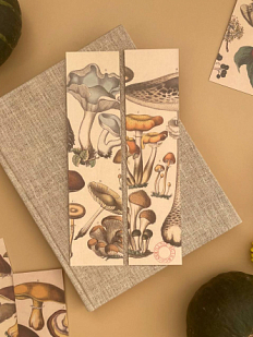 Набор закладок «Pflanzenkunde», 5 шт