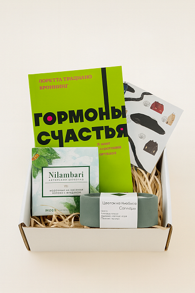 Подарочный набор на Новый год с книгой «Гормоны счастья» со свечой и шоколадом, фото 2.