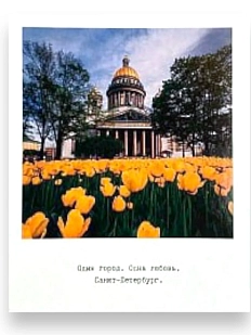 Магнит «Исаакиевский собор, тюльпаны. Фото»