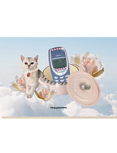 Открытка «Поздравляю №1», Mitrozhe