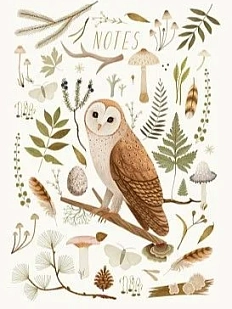 Блокнот «Сипуха», А5, 42 листа, белый