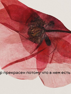 Открытка Sorokina.vision «Мир прекрасен, потому что в нем есть ты», 10 x 10 см