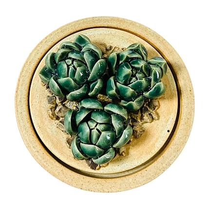 Шкатулка «Суккуленты №1», 10 см, керамика, фото 3.