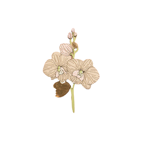 Брошь «Орхидея»