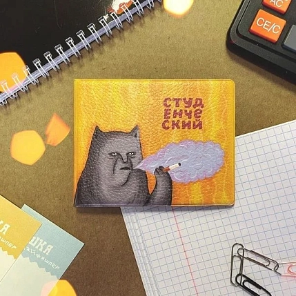 Обложка на студенческий ШКЯ «Котик с сижкой», фото 2.