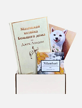 Подарочный набор на 14 февраля с книгой «Маленькая хозяйка Большого дома» и шоколадом