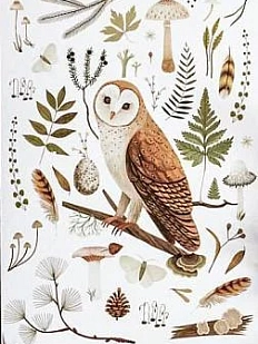 Открытка «Сипуха», светлая, Дворникова Александра