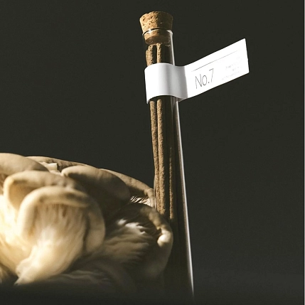 Благовония Гипноз в колбе «Композиция No.7», фото 1.