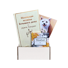 Подарочный набор с книгой «Маленькая хозяйка Большого дома» и шоколадом
