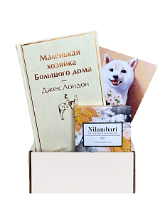 Подарочный набор с книгой «Маленькая хозяйка Большого дома» и шоколадом