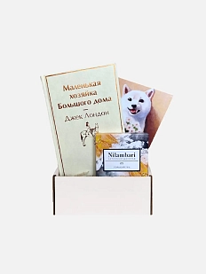 Подарочный набор с книгой «Маленькая хозяйка Большого дома» и шоколадом