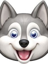 3D Стикер на телефон с собакой, серый хаски, объёмный