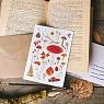Открытка «Лесные находки», белая, Дворникова Александра, превью фото 3
