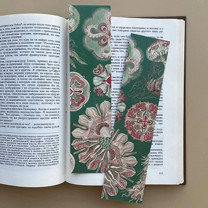 Закладка «Discomedusae» № 2, фото 1.