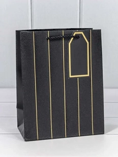 Пакет подарочный «Полосы», 18х23 см