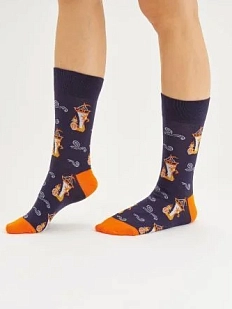 Носки «На всех парусах», р-р 38-41, коричневые