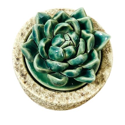 Шкатулка «Суккуленты №2», 7 см, керамика, фото 2.