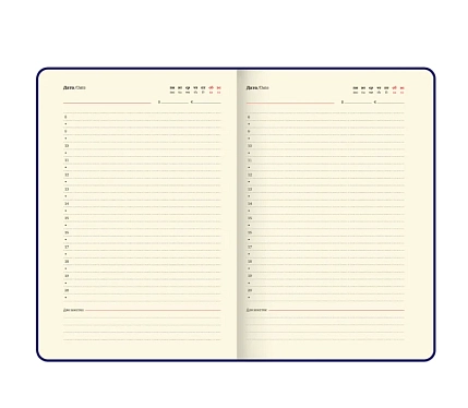 Подарочный набор с ежедневником «President» и ручкой, зелёный, фото 5.