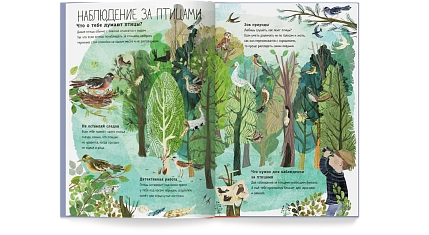 Большая книга птиц, фото 4.