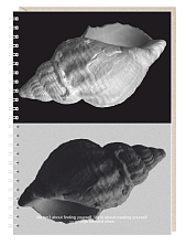 Блокнот на пружине Mitrozhe «Life isn't about finding», А5, 50 листов, чёрный