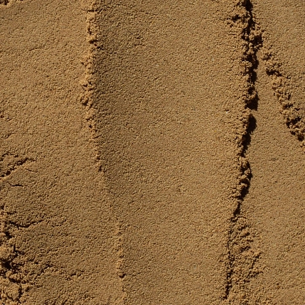 Саше «Какао-латте с рейши и специями», 12 шт, фото 2.