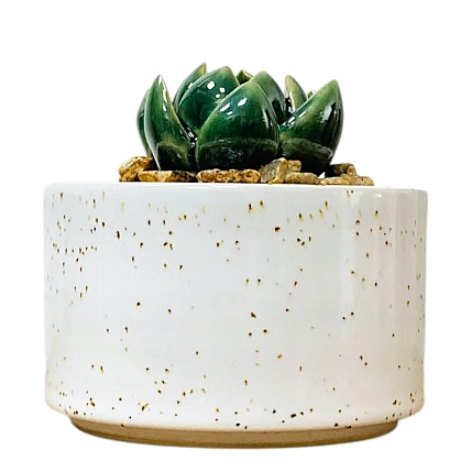 Шкатулка «Суккуленты №1», 7 см, керамика, фото 2.
