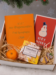 Подарочный набор на Новый год с книгой «451 по Фаренгейту», ёлочной игрушкой и шоколадом