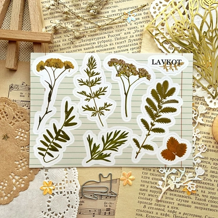 Стикерпак Лавкот «Гербарий», А6, фото 1.