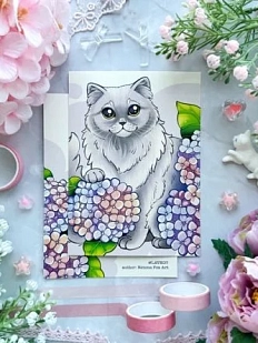 Открытка Лавкот «Британская длинношёрстная», А6