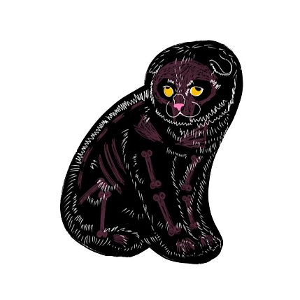 3D Стикер на телефон Pablo Radini «Котик», объёмный, фото 1.