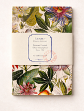 Блокнот «Пассифлора», А6