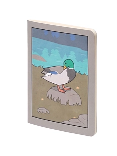 Блокнот «Gudim Duck», А5, 40 листов, серый