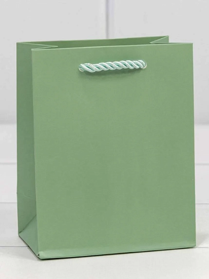 Пакет подарочный «Фактура», 12х15 см, бледно-зеленый, фото 1.