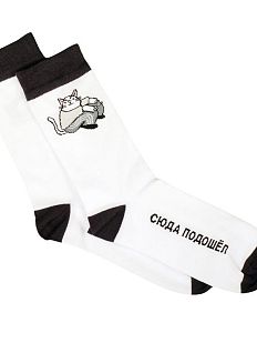 Носки с котиком «Сюда подошёл», р-р 35-40