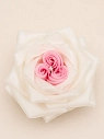 Свеча цветок ручной работы DARI DARI «Роза двойная», бело-розовая, превью фото 2