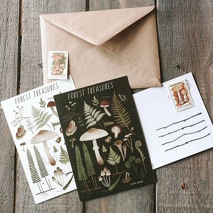 Открытка «Лесные сокровища», тёмная, Дворникова Александра, фото 2.