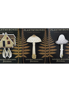 Брошь Александра Дворникова, дерево, в ассортименте