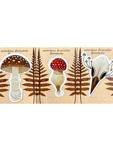 Виниловый стикер Дворникова Александра, в ассортименте