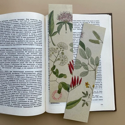 Закладка «Травы с красным» № 3, фото 1.