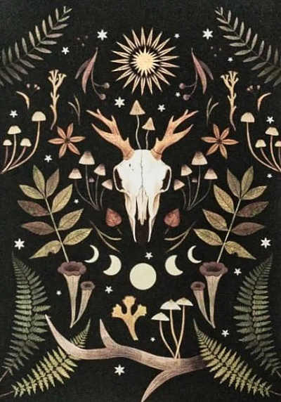Открытка «Череп оленя», Дворникова Александра, фото 1.