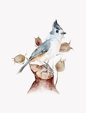 Постер интерьерный «Синица королевская», А3