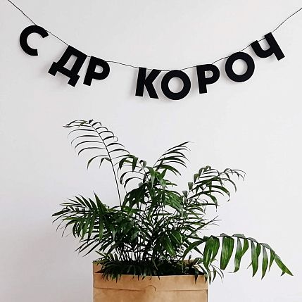 Гирлянда «С ДР КОРОЧ», фото 2.