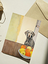 Открытка с собакой DARI DARI «Веймаранер с яблоками», А6, превью фото 1
