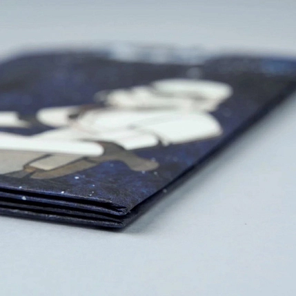 Обложка на паспорт New Wallet «New Stormer», фото 4.