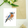 Открытка DARI DARI «Птичка», белая, превью фото 2