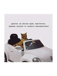 Открытка «Дорогая, мы быстро едем, пристегнись», 10 x 10 см